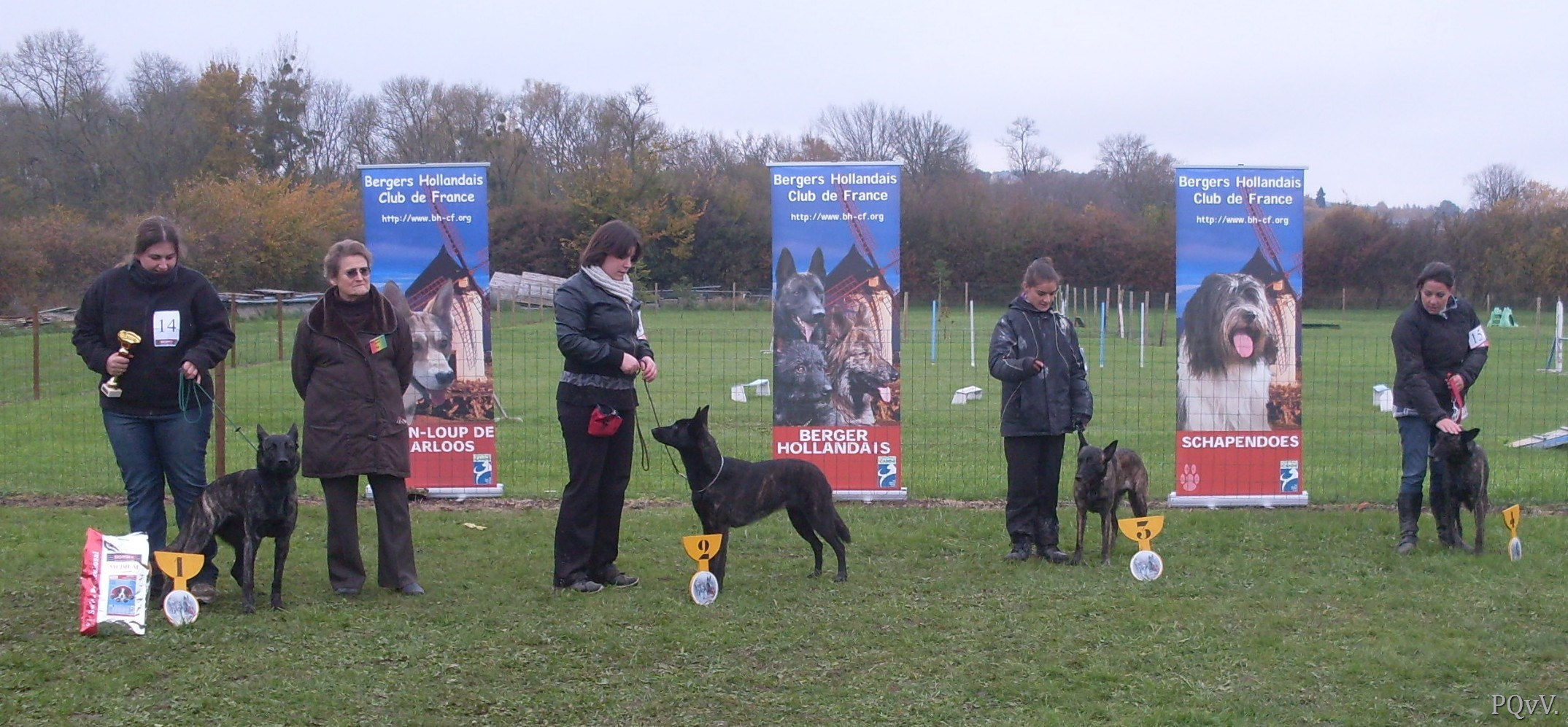  classe ouverte femelles : Flamme Argentee, Fantasia, Fashion, Freedom
